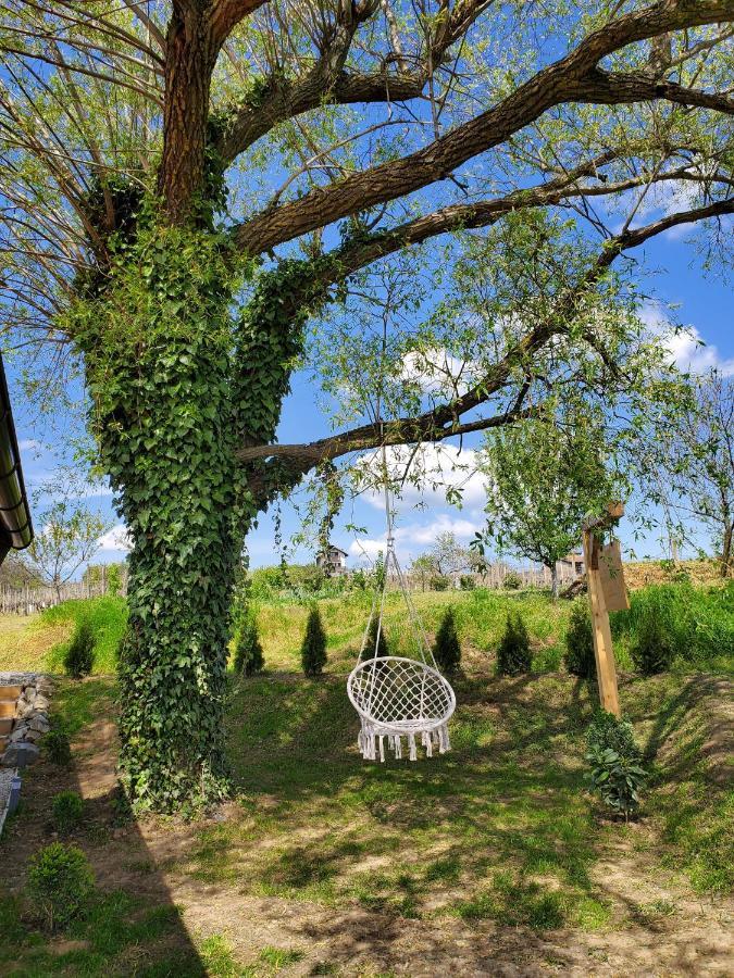 Holiday Home Vinovilla Kutjevo Esterno foto