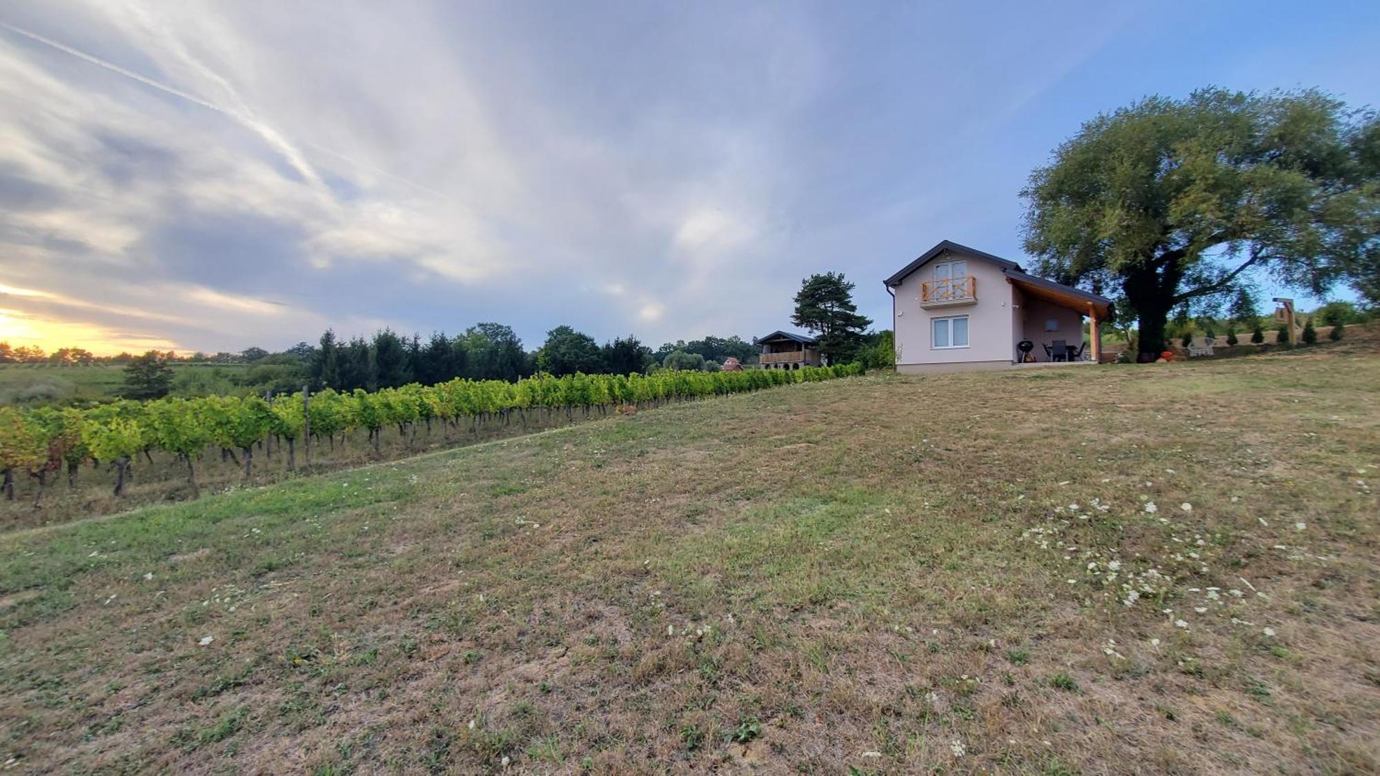 Holiday Home Vinovilla Kutjevo Esterno foto