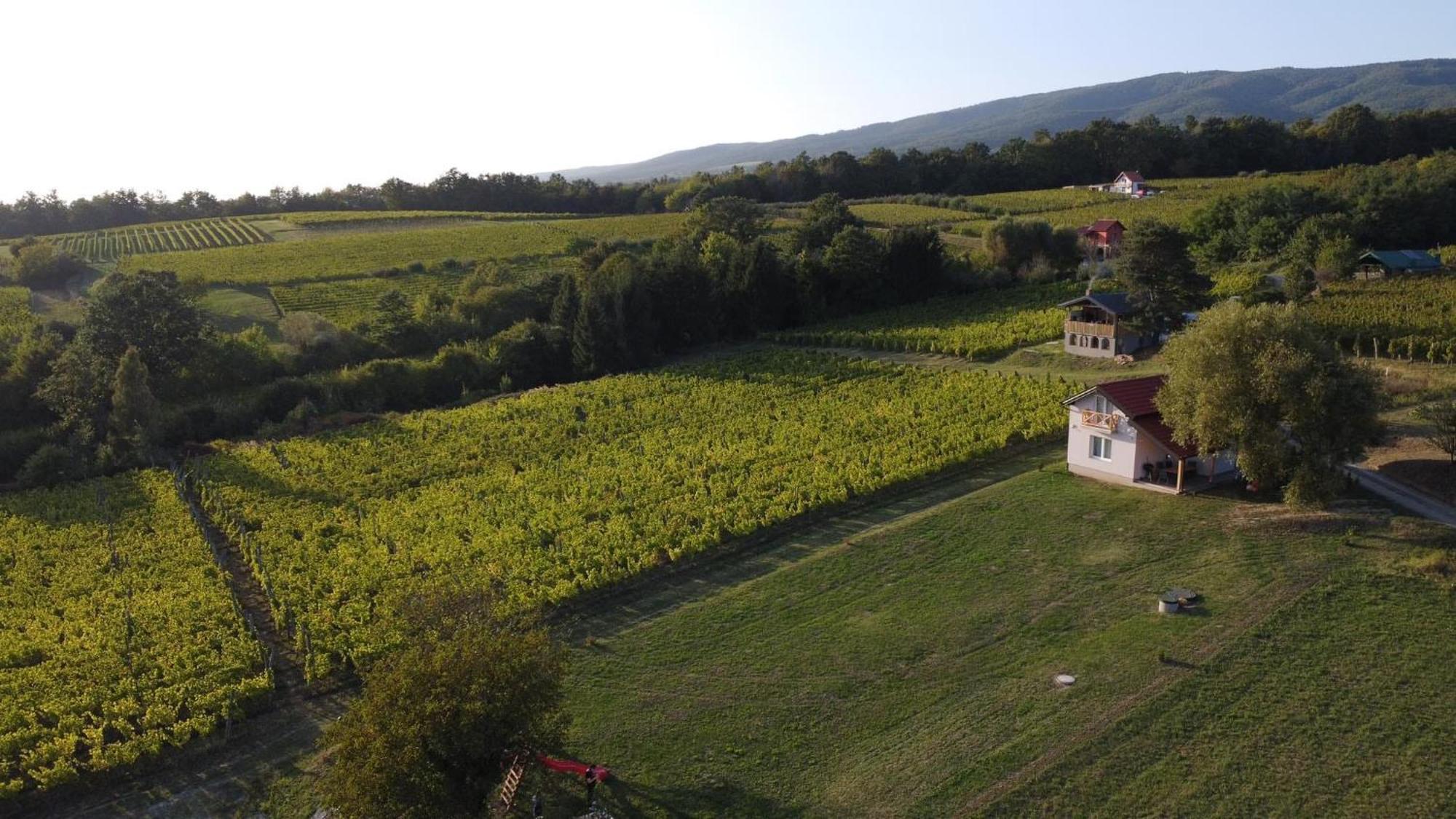 Holiday Home Vinovilla Kutjevo Esterno foto